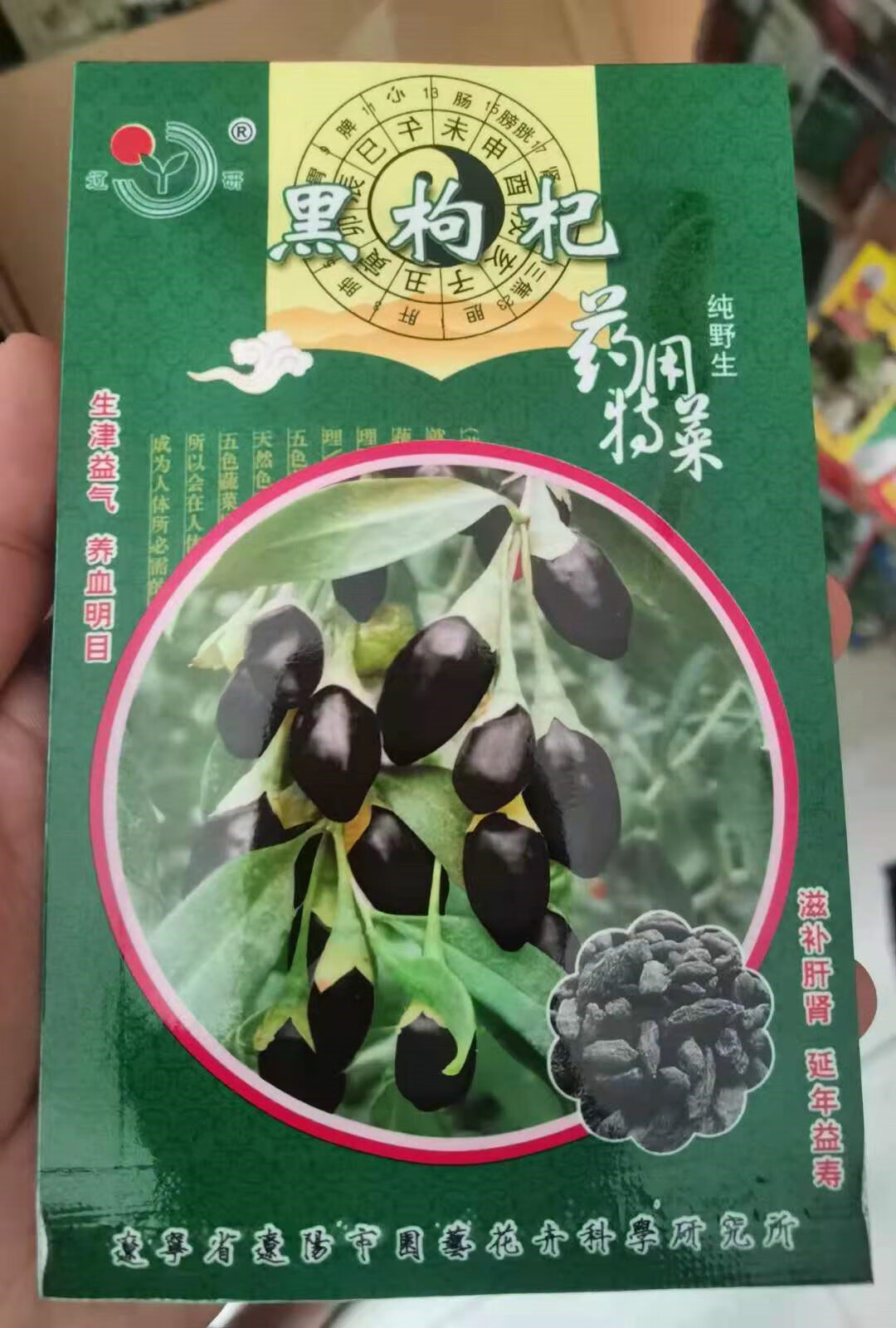 Ke Cai (Ke Caixia)